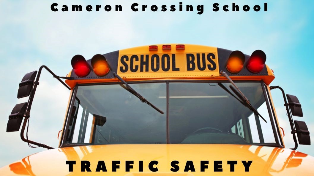 Bus Transportation & Traffic Safety